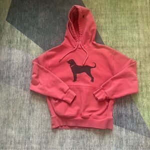 The Black Dog Red Hoodie for Pets